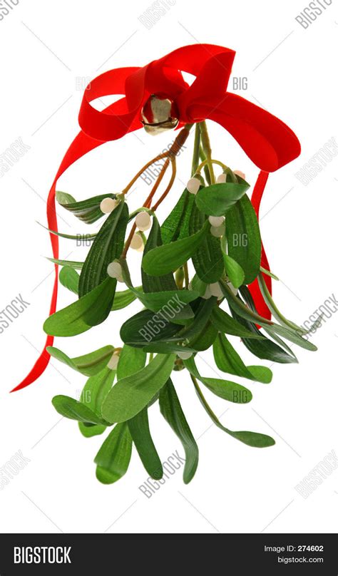 Christmas Mistletoe Image & Photo (Free Trial) | Bigstock