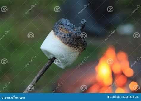 Roasted Marshmallow On A Stick Stock Photo Image Of Candy Outdoors