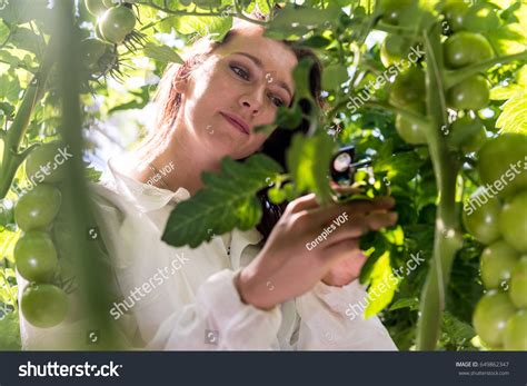 The Healer's Journey: 5 Steps To Unlocking Your Herbology Potential