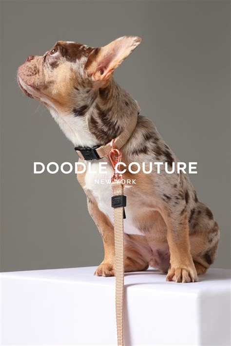 Stylish Dog Collars And Leashes By Doodle Couture Designer Dog