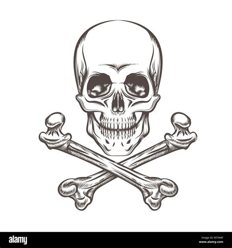 Skull And Cross Bones Illustration Stock Vektorgrafiken Kaufen Alamy