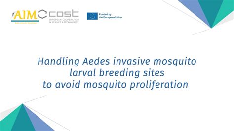 Handling Aedes Invasive Mosquito Larval Breeding Sites To Avoid