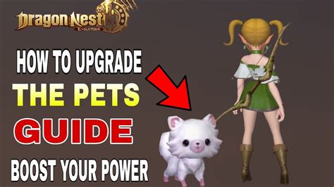 Dragon Nest 2 Evolution Guide For Pets Upgrade New MMORPG For