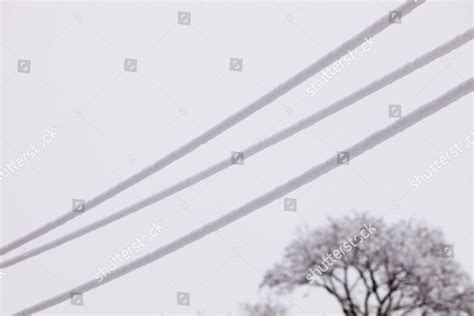 Heavy Snow Weighing Down Telegraph Cables Editorial Stock Photo Stock