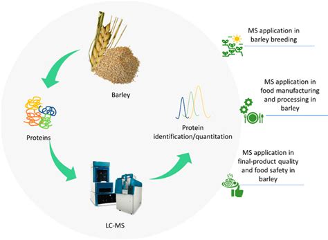 Application Of Mass Spectrometry Based Proteomics To Barley Research