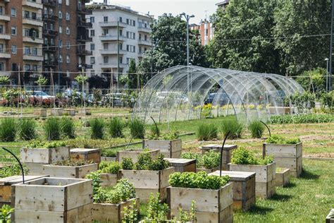 Urban Gardening 101 Everything You Need To Know EcoWatch