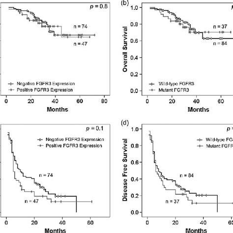 G382E Is A Novel FGFR3 Mutation In Bladder Cancer A Heterozygous