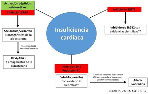 Abordaje Práctico De Dapagliflozina En El Tratamiento De La