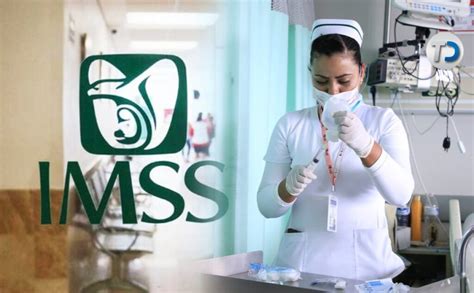 ≫ 🥇 Convocatoria Imss Residencias 2024 2025 En México Todo Lo Que