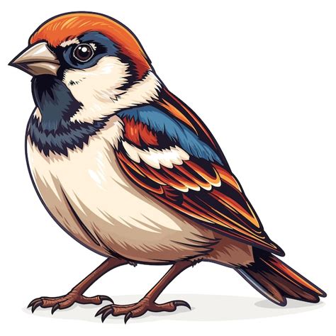 Premium Vector Sparrow Cartoon Icon Isolated Transparent Background