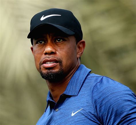 Tiger Woods On Golf Course The Hollywood Gossip