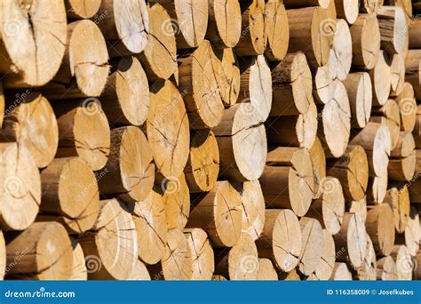 Pile Of Worked Wooden Roundish Clear Beautiful Logs Stacked Firewood