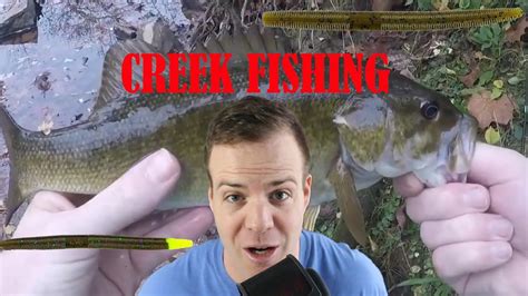 Creek Fishing I Caught A Decent Size Smallmouth Bass Youtube