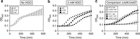 The Lack Of Rida Leads To Prolonged Recovery From Hocl Stress Growth