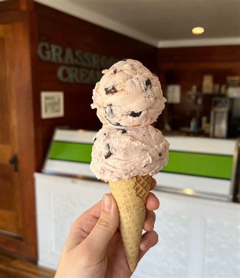 **[Grassroots Ice Cream: A Treat for Your Taste Buds and Community]**
