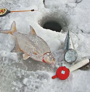 **Рыболовные удилища изо льда: руководство для начинающих**