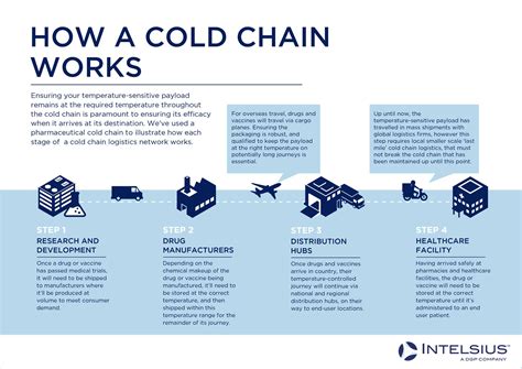 **Embrace Iccold: Transforming the Cold Chain for a Sustainable Future**