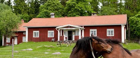 **Kvarntorp Finngård: Ett modernt skogsbruk för framtiden**