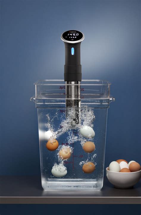 **Nötrulle Sous Vide: The Art of Cooking with Precision and Passion**