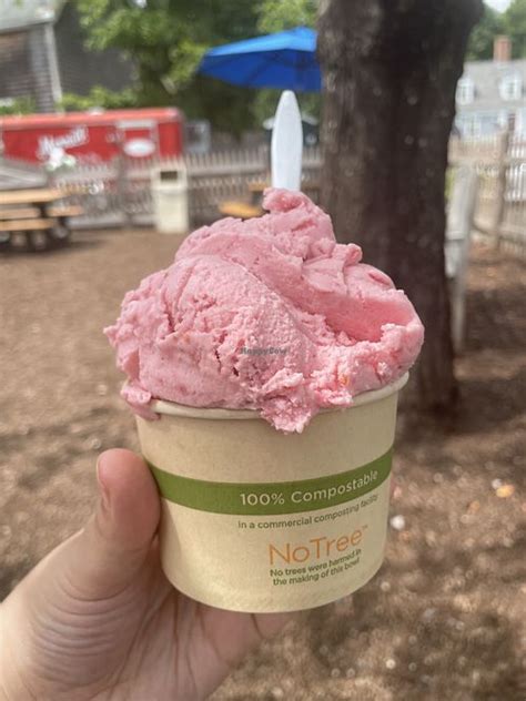 **North Andover Ice Cream: A Sweet Escape Embracing the Local Soul**