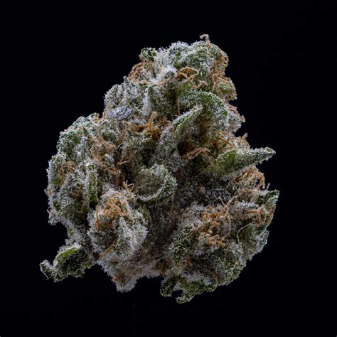 **The Deep Fried Ice Cream Strain: A Flavorful and Potent Treat**