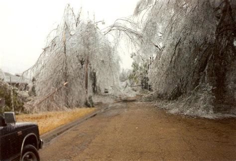 **The Mississippi Ice Storm of 1994: A Devastating Event**