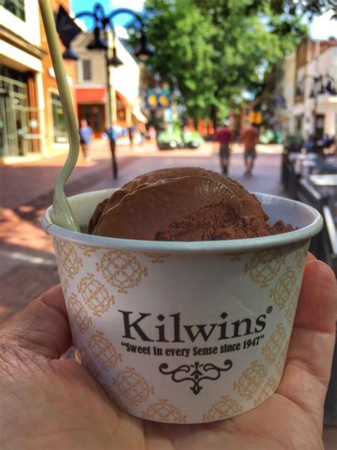 **The Sweet Scoop: Unveiling the Delights of Charlottesville VA Ice Cream**