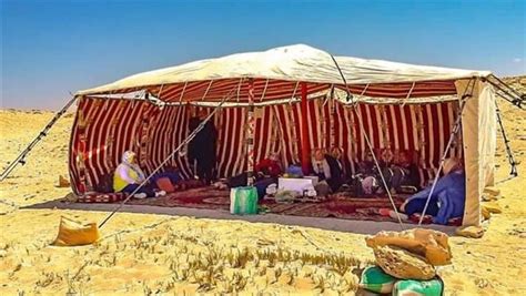 <strong> رحلة في قلب الخيمة البدوية: ملاذ متواضع وعالم ثري</strong>