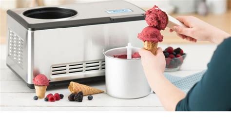 ¡Descubra la revolución de la maquina de helados naturales: un viaje a la salud y el sabor!