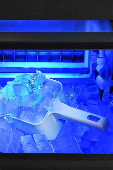 ¡Descubre la Oportunidad Lucrativa: Fabricación de Hielo!