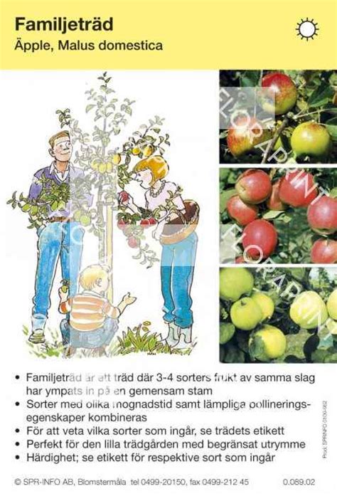 Äpple Familjeträd: En Guide till Äpplets Historia och Genetik