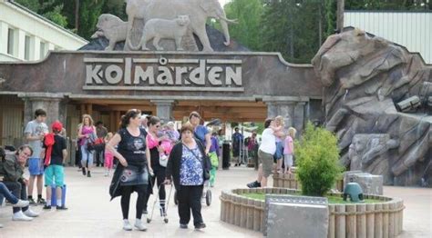 Örebro djurpark: En plats där minnen skapas och djurlivet blomstrar