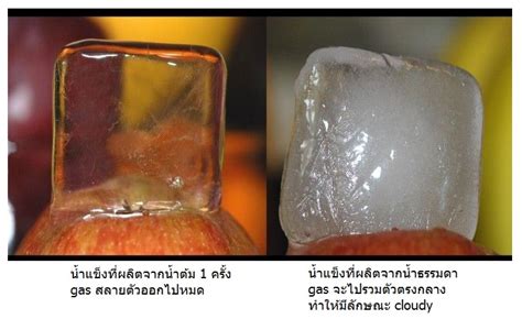 น้ำแข็งก้อนเล็กที่ดีที่สุด: เปลี่ยนเครื่องดื่มของคุณให้เป็นประสบการณ์ที่น่าจดจำ