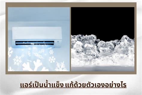 เย็นนี้ต้องมีน้ำแข็ง! แก้ร้อนด้วย Undercounter Ice Bin