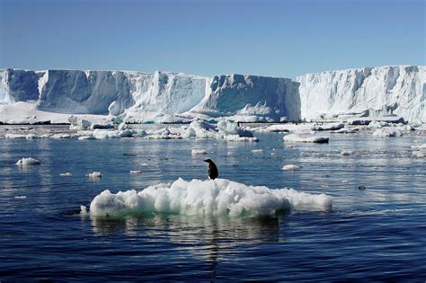 冰封世界的启示：冰盖对我们星球的影响