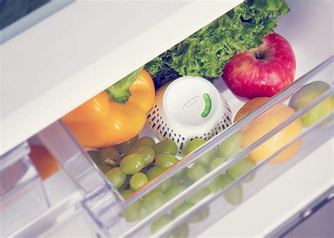 冰鲜机，食物保鲜的新利器
