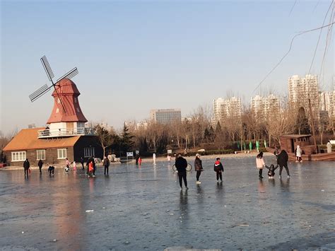 探索雷诺酒庄冰上乐园：冬季奇观