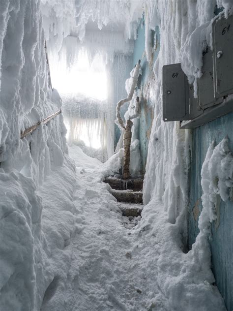 极地制冰机，冰封世界里的生命之源