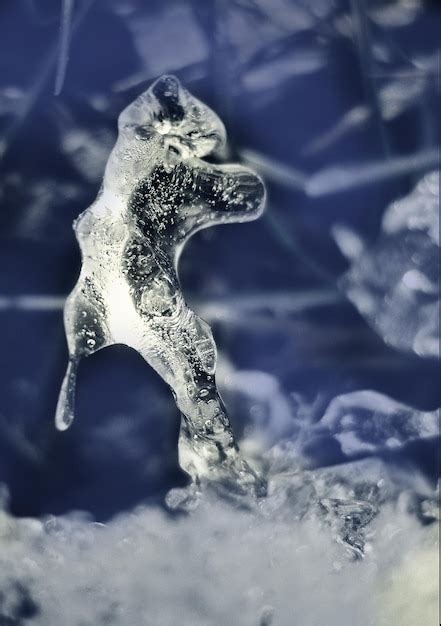 氷の彫刻ボストン 2022：凍った芸術の傑作を称える