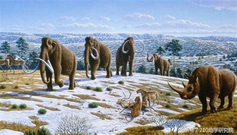 真實的冰河時期動物