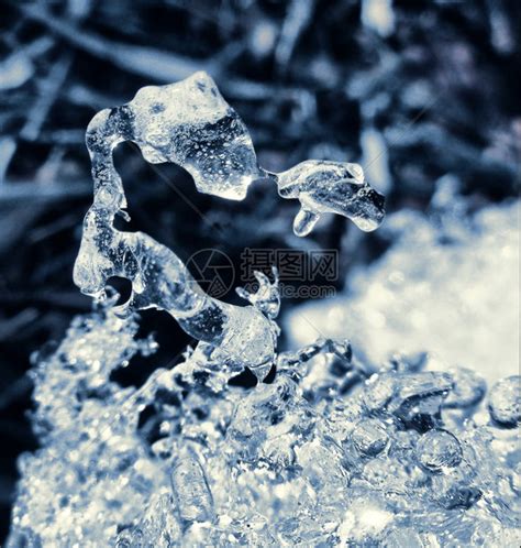 碟形冰：大自然的冰雕瑰宝