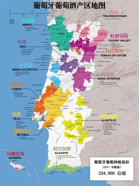 葡萄牙 Vindistrikt：葡萄牙葡萄酒产区的深度探索
