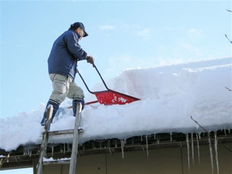 雪が降らなくても大丈夫！感動の雪景色を演出する業務用造雪機