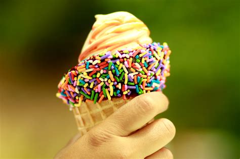 떠나지 않는 여름 추억, 유타에서 가장 맛있는 아이스크림
