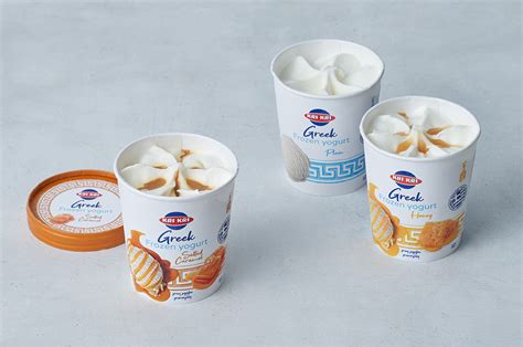 푸짐하고 크리미한 단백질 아이스크림 만들기: 완벽한 단백질 아이스크림 메이커