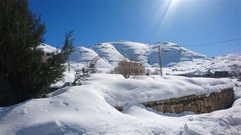  ثلاجات ومكعبات ثلج لبنان: دليل شامل 