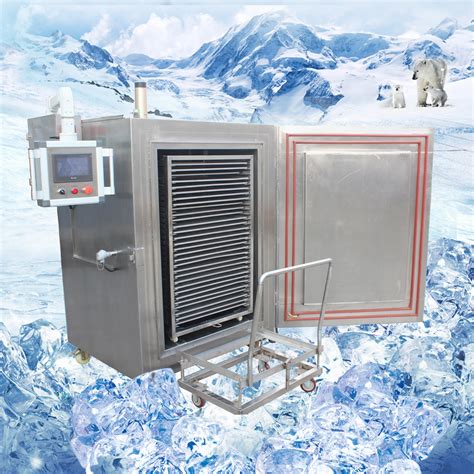  ❄️ 机器速冻机：您的食品保鲜和营养利器 ❄️
