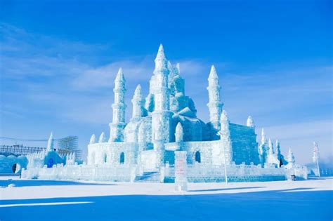  冰的艺术：探寻冰厂的迷人世界