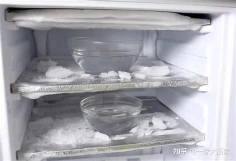  冰箱里的冰块工厂——让你的生活更清凉！