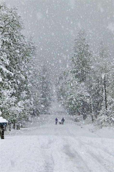  雪霸讓你銀裝美麗，守護你冬日安全